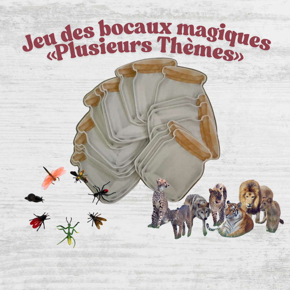 🔦 Jeu des bocaux magiques