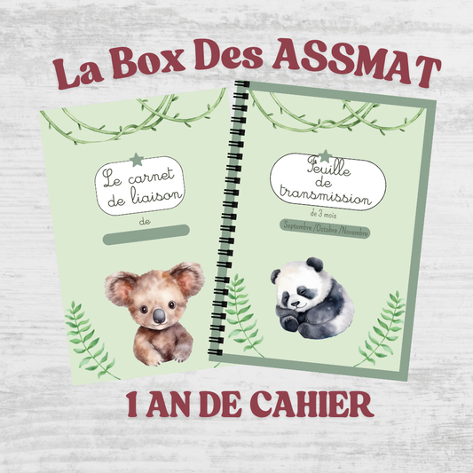 Box ASSMAT
