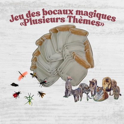 🔦 Jeu des bocaux magiques