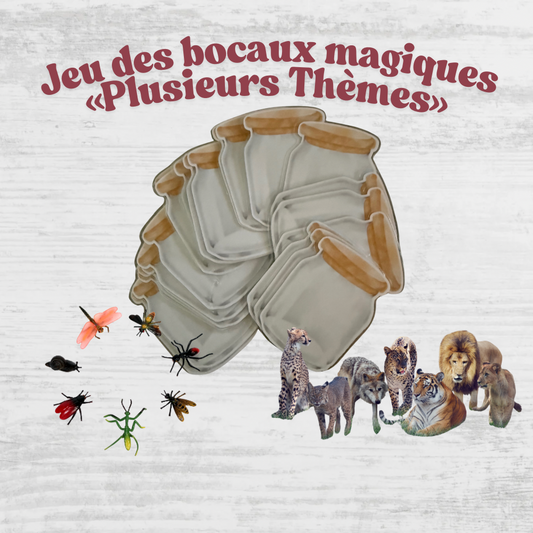 🔦 Jeu des bocaux magiques